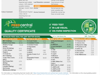 300mt Barley Hay 600-650kg 8x4x3 Bales (New Season 22/23)