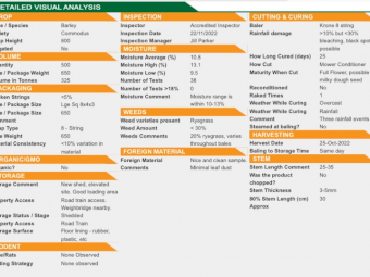 300mt Barley Hay 600-650kg 8x4x3 Bales (New Season 22/23)