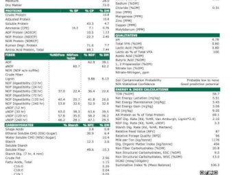 Organic Pasture Silage