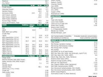 Organic Pasture Silage