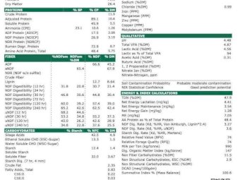 Organic Pasture Silage
