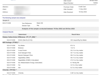75mt Vetch Hay 600kg 8x4x3 Bales (New Season 22/23)