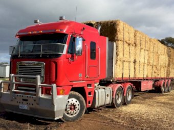 2007 Freightliner Argosy Prime Mover
