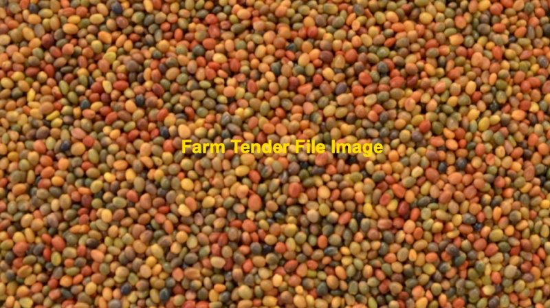 WANTED 30mt Persian Clover