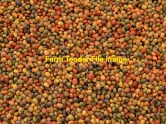 WANTED 30mt Persian Clover