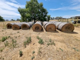 38 x Round Bales 2021 Oaten Hay