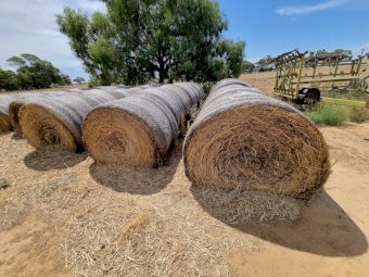 38 x Round Bales 2021 Oaten Hay