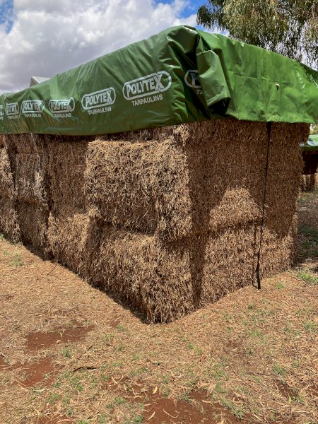 2021 Vetch Hay 8x4x3