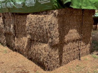 2021 Vetch Hay 8x4x3