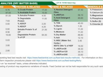 2021 Vetch Hay 8x4x3