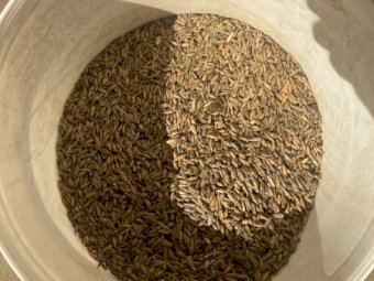 60mt Yarran Feed Oats