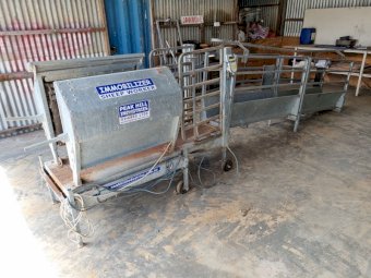 2014 Peak Hill Sheep Immobilizer With Ramps.