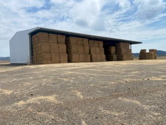 2000 mt Wheaten  Straw shedded