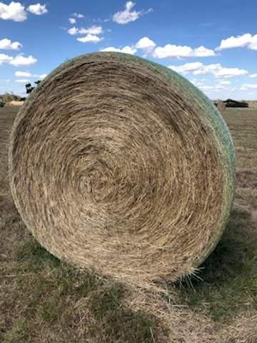 100 Bales of Ryegrass Hay