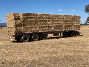 Freighter 42ft Flat Top Trailer