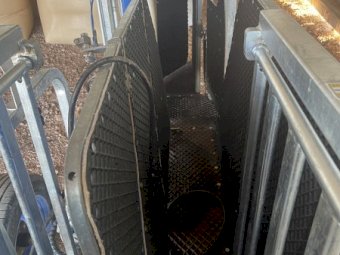 Clipex Sheep Handler with Tru Test Indicator