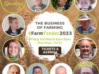 Good quality Shedded Header Trail Wheat Straw