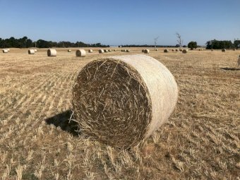 150 x Oaten Hay 5x4 Rolls (New Season 22/23)