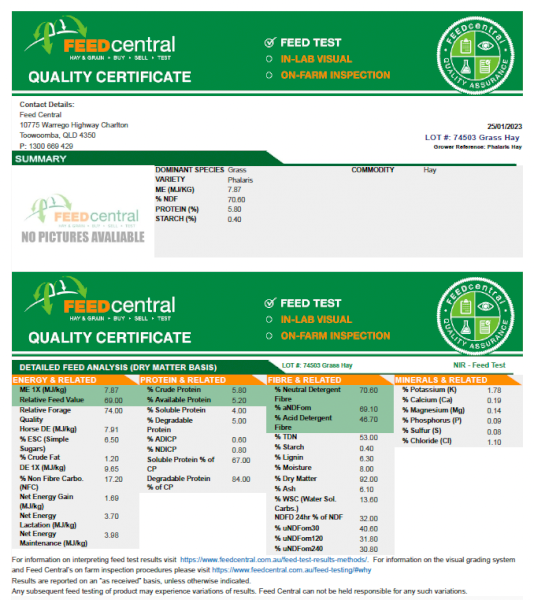 170mt Phalaris Pasture Hay 615kg 8x4x3 Bales (New Season 22/23)