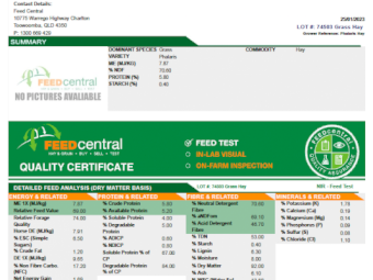170mt Phalaris Pasture Hay 615kg 8x4x3 Bales (New Season 22/23)