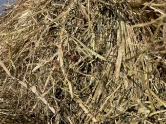 100 x Clover/Rye Pasture Hay 5x4 rolls