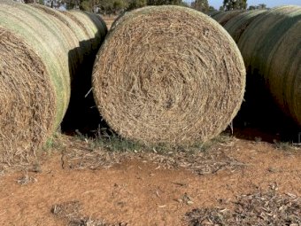 100 x Clover/Rye Pasture Hay 5x4 rolls