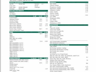 100 x Clover/Rye Pasture Hay 5x4 rolls