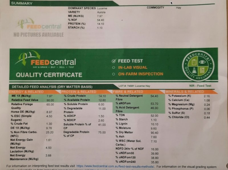 300mt Lucerne Hay 8x4x3 Bales