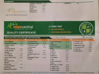 300mt Lucerne Hay 8x4x3 Bales