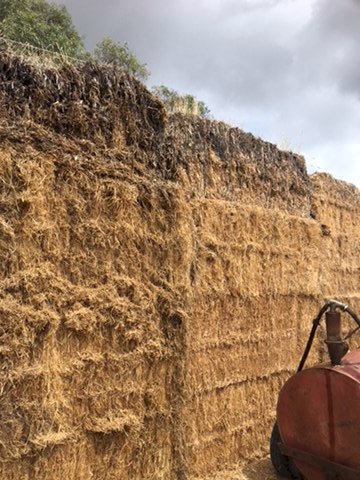 30mt Lucerne Hay 8x4x3 Bales (21/22 Season)