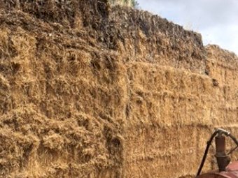 30mt Lucerne Hay 8x4x3 Bales (21/22 Season)