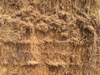 30mt Lucerne Hay 8x4x3 Bales (21/22 Season)