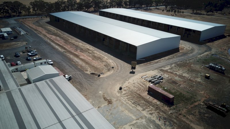 520mt Oaten Hay 650kg 8x4x3 Bales (New Season 22/23)