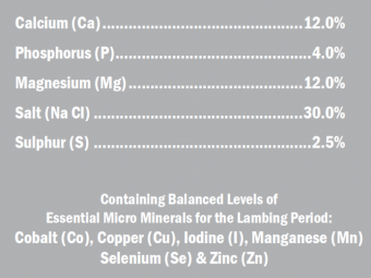 TPM Flock Boost Lambing - 25kg bag