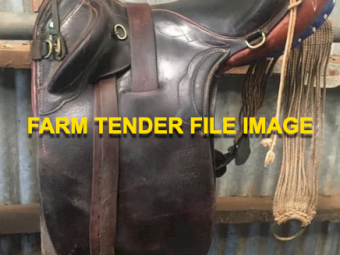 WANTED Second Hand Stock Saddle