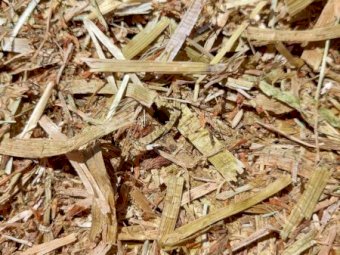 200 x Clover Hay 400kg 5x4 Rolls (New Season 22/23)