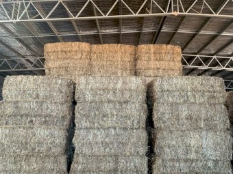 260mt Sub Clover Hay 650kg 8x4x3 Bales (New Season 22/23)