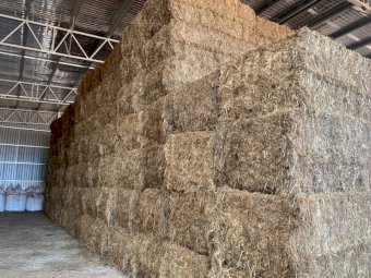 260mt Sub Clover Hay 650kg 8x4x3 Bales (New Season 22/23)