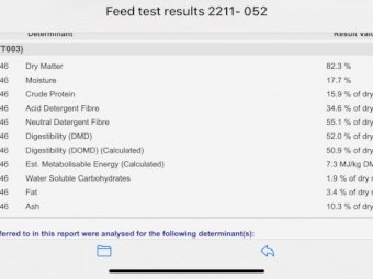 260mt Sub Clover Hay 650kg 8x4x3 Bales (New Season 22/23)