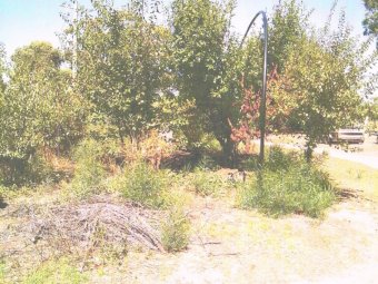 45ha or 112 acre Hobby Farm and Tourist Enterprise