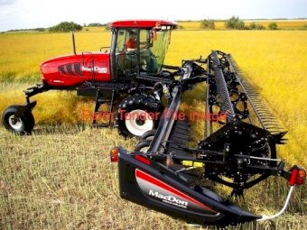 2017 MacDon M 205 Windrower with D65 D 40 ft head