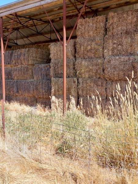 Oaten/Wheaten Hay 500kg+ 8x4x3 Bales