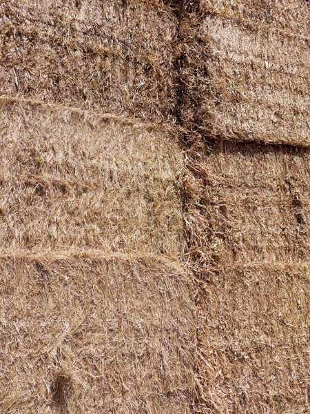 Clover Rye Hay 500kg+ 8x4x3 Bales