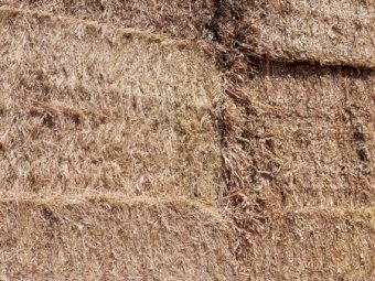 Clover Rye Hay 500kg+ 8x4x3 Bales