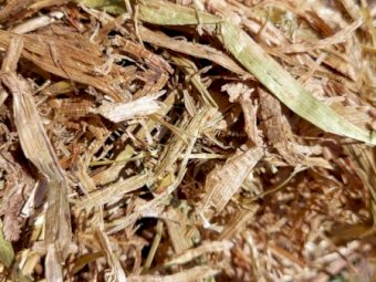 Clover Rye Hay 500kg+ 8x4x3 Bales