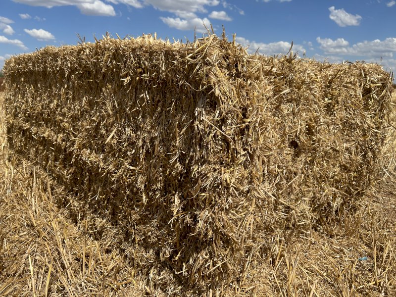 60 mt Oaten Straw