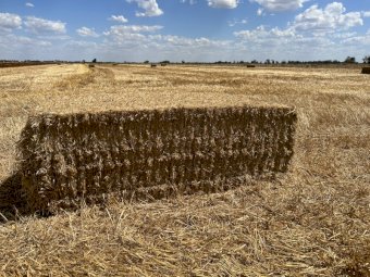60 mt Oaten Straw