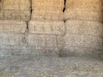 2019 Oaten Hay 8x4x3 Bales