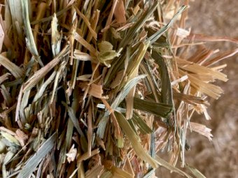 2019 Oaten Hay 8x4x3 Bales