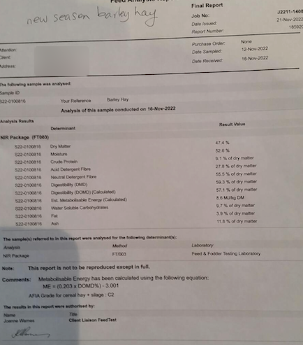 Barley Rye Hay 8x4x3 Bales (New Season 22/23)